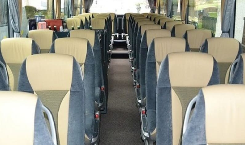 Germany: Coach operator in Saxony-Anhalt in Saxony-Anhalt and Staßfurt