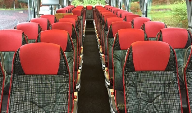 Germany: Coaches rent in Brandenburg in Brandenburg and Werder